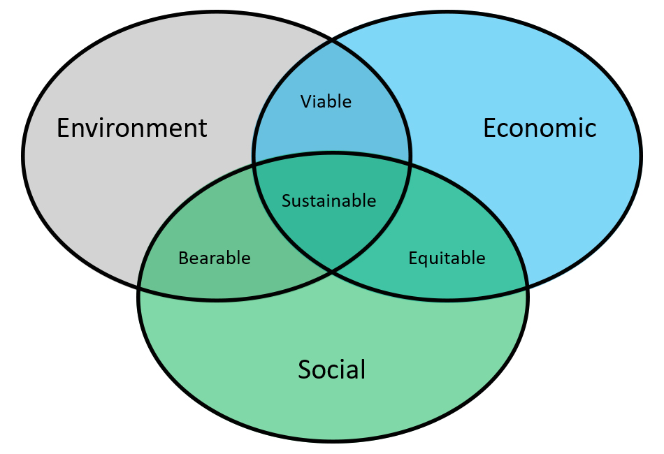 Sustainable Oracle Consulting